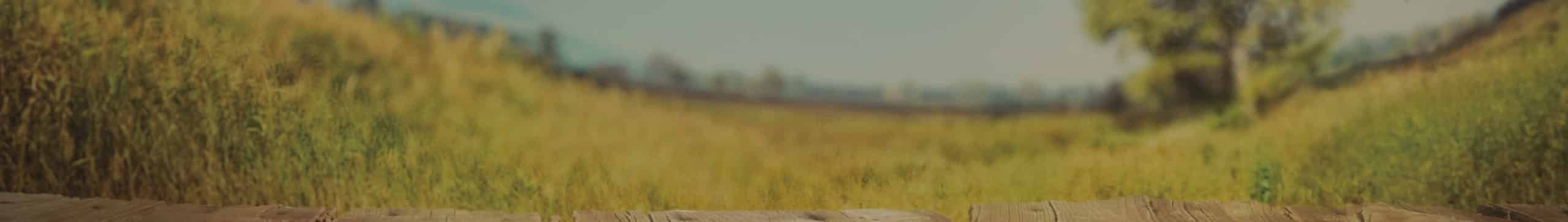 fond page adoucisseur